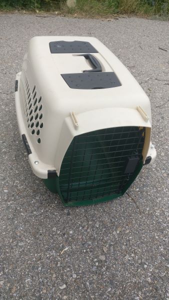 Small Pet Taxi Carrier